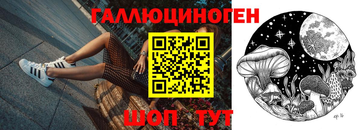 Галлюциногенные грибы Psilocybe  Вход с VPN  Галлюциногенные грибы Magic Shrooms  Когалым 